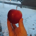 @jonas_wyattg - Instagram