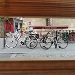 Jonas - @jonas__yang - Instagram
