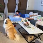 Jonas Yang - @yyc_jonass - Instagram