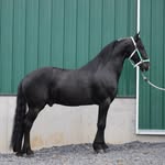 Jonas Yoder - @jonasyoder30 - Instagram