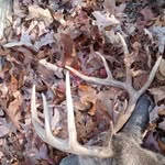 Jonas Yoder - @yoderjonas22 - Instagram