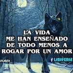 Jonas Zarate - @jonas__zarate - Instagram