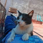 Zair Jonas - Facebook