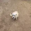 Jonatan Alvarez Bastida - @jonatan.alvarez.b - TikTok