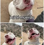 Jonatan Navarro - Facebook