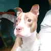 jonathan abarca - @jonathan.abarca638 - TikTok