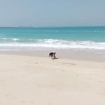 @jonathan_abboud111 - Instagram