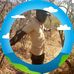 Jonathan Abdallah - Facebook