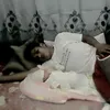 Jonathan Agustin - @jonathanagustin59 - TikTok