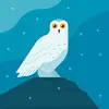 Jonathan Amaro - @jonathan.amaro7 - TikTok