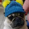 Jonathan Amaro - @jhon14031981 - TikTok