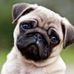 Jonathan Arballo - Facebook