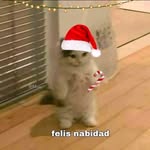 Jonathan Arvizu - @arvizujonathan190 - Instagram
