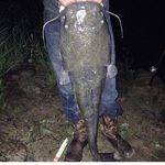 Jonathan Ayers - @power_house278 - Instagram