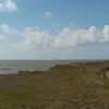 Jonathan Babin - @jonathan.babin0 - TikTok