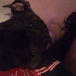 Jonathan Baca - @jonny_dank_ - Instagram