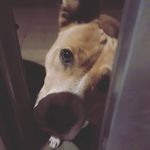 Jonathan Baca - @jonathanbaca9526 - Instagram