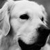 Jonathan Bachmann - Facebook