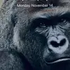 jeefreybezos:::::)47 - @jonathanballenger - TikTok