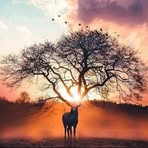 Jonathan Luri Baumgartner - Facebook