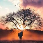 Jonathan Luri Baumgartner - @fellicita.67 - Instagram