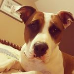 Jonathan Beasley - @beasley_jonathan - Instagram