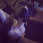 Jonathan beasley - @jonathanbeasley9 - Instagram