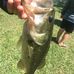Jonathan Bedsole - Facebook