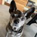 Jonathan Belk - Facebook