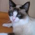 Jonathan Beller - Facebook