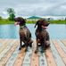 Jonathan Benner - Facebook