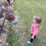 Jonathan Berkebile - @jonathanberkebile1 - Instagram