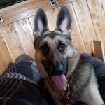 Jonathan Beyer - @jonathan.beyer.39 - Instagram