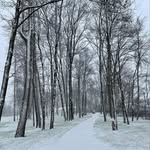 Jonathan Birk - @john__birk - Instagram