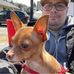 Jonathan Blais - Facebook