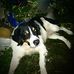 Jonathan Blake - Facebook