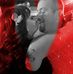 Jonathon Bloom - Facebook