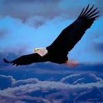 Bob Jonathan - @jonathanbob - Instagram
