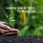 Jonathan Boland - @grow.ur.tree2.wealth - Instagram