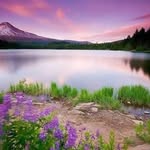 Jonathan Cornejo - @jonathan.books - Instagram
