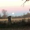 jonathanleebooks - @jonathanleebooks - TikTok