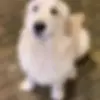 JonathanBORBA - @jonathan.borba6211 - TikTok
