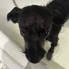 Jonathan - @jonathan.bourne - TikTok