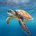 Jonathan Bourne - Facebook