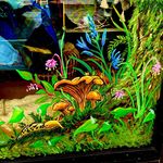 Jonathan Bourque - @spirit_coast_creations - Instagram