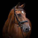 Jonathan Bowker - @jonathanbowkerphotography - Instagram