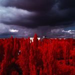 Jonathan Bragg - @red_forest216 - Instagram