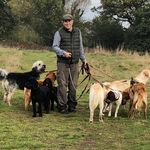 Jonathan brenner - @petshaveneeds - Instagram