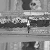 Jonathan Brice - @jonathanbrice6 - TikTok