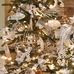 Wedding Reception Videos &amp; Photos for Jonathan &amp; Brittany Briley - Facebook